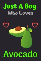 Just A Boy Who Loves Avocado: A Super Cute Avocado notebook journal or dairy | Avocado lovers gift for boys | Avocado lovers Lined Notebook Journal (6"x 9") 167317518X Book Cover