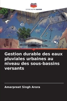 Gestion durable des eaux pluviales urbaines au niveau des sous-bassins versants (French Edition) 6207925858 Book Cover