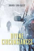 Divine Circumstances null Book Cover