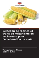 Sélection de racines et traits de mécanisme de sécheresse pour l'amélioration du maïs 6205763877 Book Cover