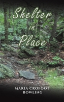 Shelter in Place B0C3DH3B5Y Book Cover