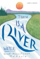 There Is a River 1973600595 Book Cover