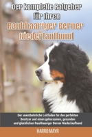 Der komplette Ratgeber für Ihren Rauhhaariger Berner Niederlaufhund: Der unentbehrliche Leitfaden für den perfekten Besitzer und einen gehorsamen, ... Berner Niederlaufhund B0997ZXLYJ Book Cover