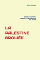 LA PALESTINE SPOLIÉE: COMMENT LE DROIT A ORGANISÉ LA DÉPOSSESSION D’UN PEUPLE (French Edition) 2982441632 Book Cover