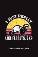 I Just Really Like Ferrets, Ok? Composition Notebook: Funny Gift For Ferret Lovers And Everyone Who Love Animals- Notebook, Planner Or Journal For Writing About Ferrets Or Animals Size 6 x 9 110 Lined 1709865237 Book Cover