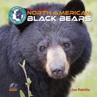 All about North American Black Bears B0FN4HMKP3 Book Cover