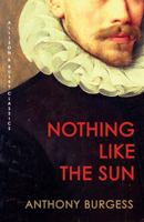 Nothing like the Sun: A Story of Shakespeare's Love-life 039331507X Book Cover