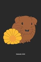 Meerschweinchen mit Blume: Jahresplaner / Terminplaner / Kalender 2020 Meerschweinchenhalter - DIN A5 - Geschenk Meerschweinchen 1679551345 Book Cover