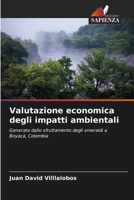 Valutazione economica degli impatti ambientali (Italian Edition) 6207044894 Book Cover