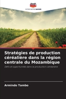 Stratégies de production céréalière dans la région centrale du Mozambique (French Edition) 6202436980 Book Cover