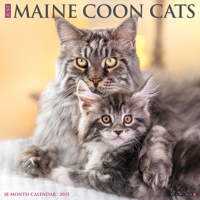 Just Maine Coon Cats 2025 12 X 12 Wall Calendar 1549243810 Book Cover