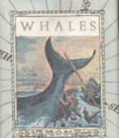 Whales (Tiny Tomes) 0836210107 Book Cover