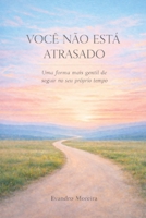VOCÊ NÃO ESTÁ ATRASADO: Uma forma mais gentil de seguir no seu próprio tempo (Portuguese Edition) B0GDG37SR3 Book Cover