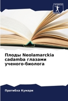 Плоды Neolamarckia cadamba глазами ... 6207850130 Book Cover