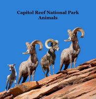 Capitol Reef National Park Animals Kids Book: Great Children's Animals Book Lifelike Images Fun Facts 1965098673 Book Cover