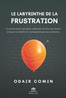 Le Labyrinthe de la Frustration: Un guide pour accepter, élaborer et aller de l’avant lorsque la réalité ne correspond pas aux attentes. (French Edition) B0FN7TJFZC Book Cover