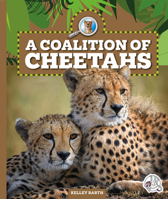 A Coalition of Cheetahs 1503885054 Book Cover
