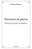 Murmures de pierres (French Edition) 2414316225 Book Cover