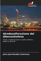 Idrodesolforazione del dibenzotiofene (Italian Edition) 6207830903 Book Cover