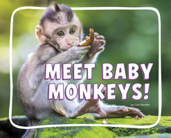 Meet Baby Monkeys! (Adorable Baby Animals) B0GHQ4453D Book Cover