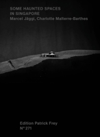 Some Haunted Spaces in Singapore 3906803716 Book Cover
