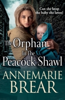 The Orphan in the Peacock Shawl 1801627576 Book Cover