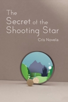 The Secret of the Shooting Star (The Three Dimension Series) B0FCHLRJHB Book Cover