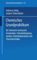 Chemisches Grundpraktikum: Fur Chemisch-Technische Assistenten, Chemielaborjungwerker, Chemielaboranten Und Chemotechniker 3798503729 Book Cover