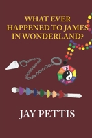 What Ever Happened to James in Wonderland?: A Novella Diary (The Diaries) B0FDYZPBYQ Book Cover
