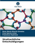 Strafrechtliche Entschuldigungen (German Edition) 6206598705 Book Cover