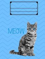 Cat Meow Composition Book, Graph Paper, 5x5 Grid: 7.44 x 9.69 - 101 Sheets/202 Pages 1981605010 Book Cover