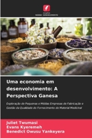 Uma economia em desenvolvimento: A Perspectiva Ganesa 6204118498 Book Cover