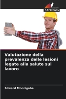 Valutazione della prevalenza delle lesioni legate alla salute sul lavoro (Italian Edition) 6208160294 Book Cover