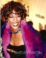 Whitney Houston Drawing Journal 0464040191 Book Cover