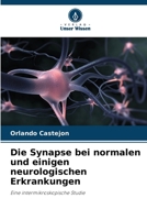 Die Synapse bei normalen und einigen neurologischen Erkrankungen 620688080X Book Cover