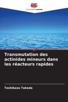 Transmutation des actinides mineurs dans les réacteurs rapides (French Edition) 620074291X Book Cover