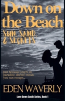 Down on the Beach: Sun, Sand, & Secrets 1393634761 Book Cover