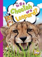 Is It a Cheetah or a Leopard? 1644660539 Book Cover