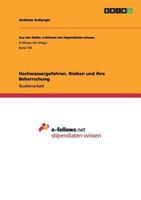 Hochwassergefahren. Risiken und ihre Beherrschung 3656454752 Book Cover