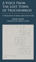 A Voice from the Lost Town of Trochenbrod: A Translation of Poems, Essays and Letters by Yisrael Beider B0DSS67ZHP Book Cover