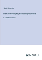 Die Kammerjungfer; Eine Stadtgeschichte: in Großdruckschrift (German Edition) 338707574X Book Cover