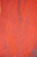 Light Within Light: Psalms and the Arts of Insight 148131680X Book Cover