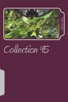 Collection 95: Contemporary Poetry 172323172X Book Cover