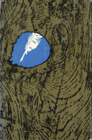 The True Country: Themes in the Fiction of Flannery O'Connor 0826512496 Book Cover