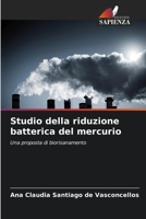Studio della riduzione batterica del mercurio: Una proposta di biorisanamento 6206335712 Book Cover