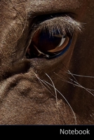 Notebook: 馬、金型、ポニー、クローズアップ ノートブック/ 日記 / ライティングブック / ノート - 6 x 9インチ(15.24 x 22.86 cm)、110ページ、光沢のある表面。 1653174382 Book Cover