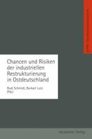 Chancen Und Risiken Der Industriellen Restrukturierung in Ostdeutschland 332298527X Book Cover