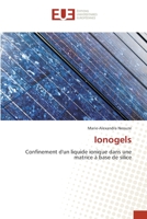 Ionogels: Confinement d'un liquide ionique dans une matrice à base de silice 6131502935 Book Cover