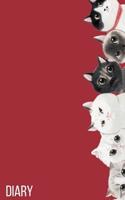 Diary: Red Diary of the I Love You, Kitty Collection. Cute Peaking Cats on the Side. 1092795758 Book Cover