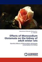 Effects of Monosodium Glutamate on the kidney of adult wistar rats: Harmful effects of Monosodium glutamate consumption on kidney 3848493322 Book Cover